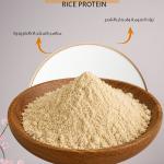 بروتين الأرز /Rice protein