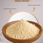 بروتين القمح /wheat protein