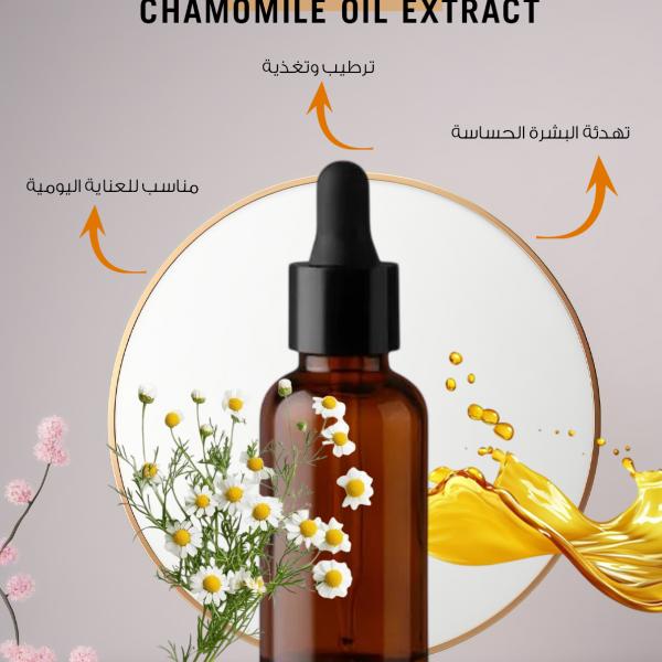 Chamomile Oil Extract / مستخلص البابونج زيتي