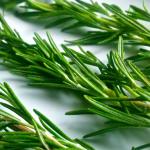 مستخلص اكليل الجبل المائي