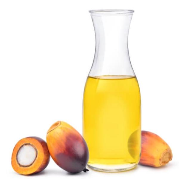 Palm Oil زيت النخيل